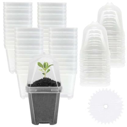50 Pcs 3" Clear Plant Nursery Pot with Humidity Dome, Plastic Gardening Pot | Plastic Plant Container with Labels, Reusable Gardening Containers Cups for Seedlings Vegetables Succulents Cuttings - color: 50pcs-white, size: 3 Inch