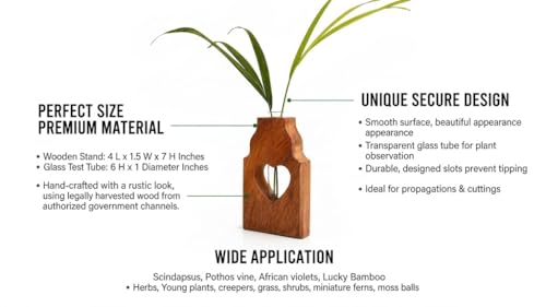 Wooden Plant Propagation Station Stand with Single Glass Test Tube Indoor Desktop Terrarium for Hydroponics Water Plant Cutting Flower Vase Planter Home Office Garden Decor Plant Lover Gifts (Brown)