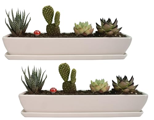 11.1 inch Long Rectangle White Ceramic Succulent Planter Pots with Ceramic Saucers/Mini Flower Plant Containers wPlant Window Boxes for Office/Home, (2 pcs Rectangle Pot) - color: 2 Pcs Rectangle Pot