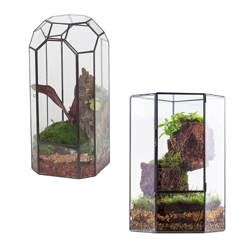 NCYP Glass Terrarium - Closed Tall Plant Terrarium with Door, and Pentagon Shape Closed Terrarium for Small Succulent Cacti, Ferns, Home Garden Office Tabletop Decor