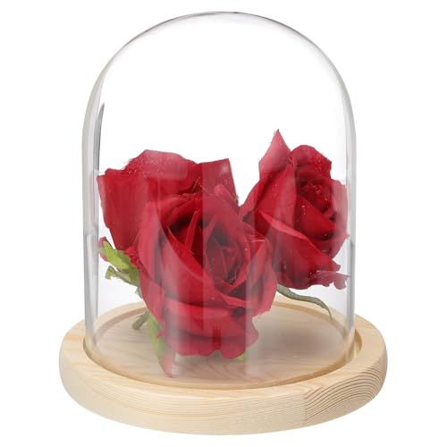 uxcell Glass Cloche Display Dome, 5.9" x 4.7" Glass Dome Display Case Wood Base Tabletop Jar Case Decorative Bell Jar for Plant Home Decor Office Wedding Party, Natural - size: 5.9" x 4.7"