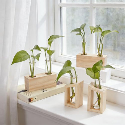 OLYCRAFT 4 Set Plant Propagation Station 2 Style Glass Tube Vase with Wooden Stand Hydroponic Propagation Planter Tabletop Tube Glass Vase for Station Home Office Decoration Plant Lovers