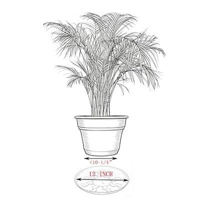 6 Pack 12 Inch Heavy Duty Clear Plastic Plant Saucer Sturdy Pot Tray Plant Drip Trays for pots,Plant Water Catcher Tray,Flower Pot Saucer Water Drainage Tray Floor Protector (12 Inch) - size: 12 inch