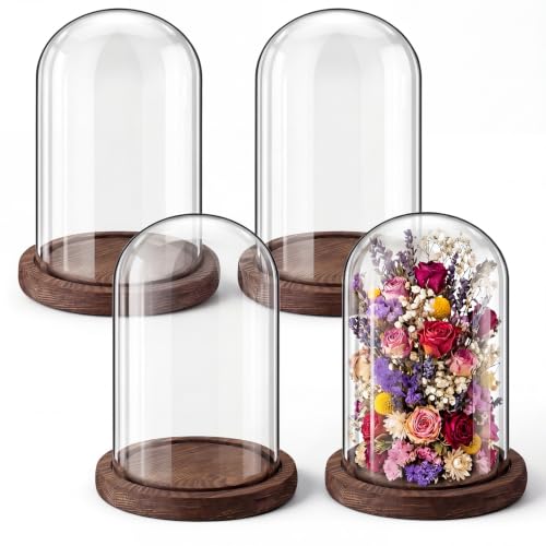 4 Pcs Glass Display Dome Cloche Clear Dome Cloche with Wood Base Tabletop Jar Display Case for Home Office Wedding (Coffee Brown,4 x 6.3 Inch) - color: Coffee Brown, size: 4 x 6.3 Inch