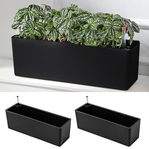LaLaGreen Planter Box for Indoor Plants (16in, 2 Pack) Window Flower Pots | Black Rectangular Self Watering Large Boxes Planters with Drainage Decorative Modern Balcony Windowsill Herbs Home Garden - color: Black