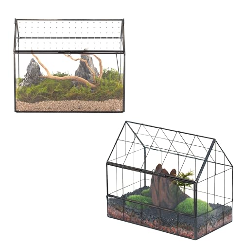 NCYP Glass Terrarium - Glass House Shape Terrarium Planter with Acrylic Lid, and Glass Terrarium with Front Opening Door, for Small Succulent Cacti, Ferns, Home Garden