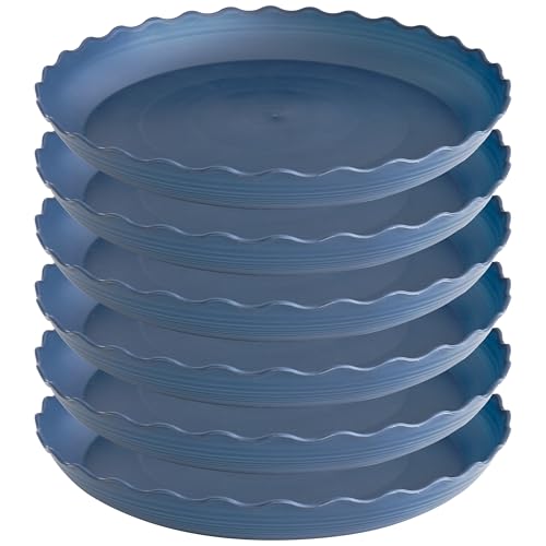 6 Pack of 6 inch Plant Saucer Plant Tray, Plastic Plant Saucer, Heavy Duty Plant Tray for Pots, Plant Saucers for Indoors Planter, Garden Water Plate Bowls for Gallon Grow Bags (Blue) - color: Blue, size: 6" (6 pack)