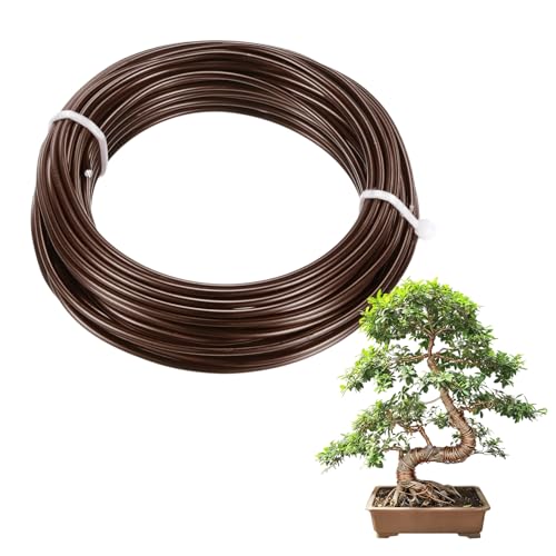 M METERXITY 1-Pack Bonsai Training Wire, 2mm x 33ft/10m Anodized Aluminum Bonsai Tree Wire for Gardening Branch/Fine Trunk/DIY Crafting [Dark Brown] - color: Dark Brown, size: 2mm