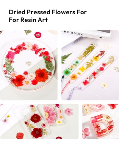 Dried Flowers, Resiners 174Pcs Pressed Flowers for Craft Red Real Natural Dried Flowers Dry Leaves Kit for DIY Making Crafts Resin Soap Candle Scrapbook Supplies Card Making Jewelry - color: Cherry 174pcs