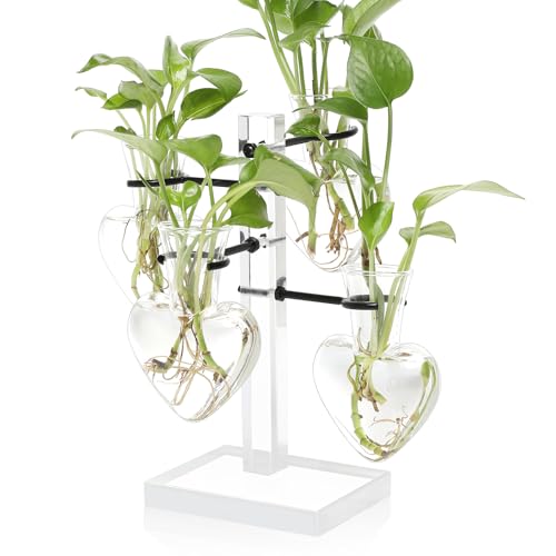 Plants Propagation Stations Plant Terrarium Kit Gift for Women - color: Transparent
