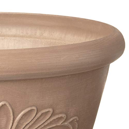 Arcadia Garden Products PSW TA30TP Plastic/Stone/Wood Composite Bulb Pan – No Drainage Hole (Drillable), Planter Bowl for Succulents, Bonsai, Fairy Gardens, Herbs,12" x 5", Taupe (Pack of 12) - color: Taupe, size: 12"x5" (Pack of 12)