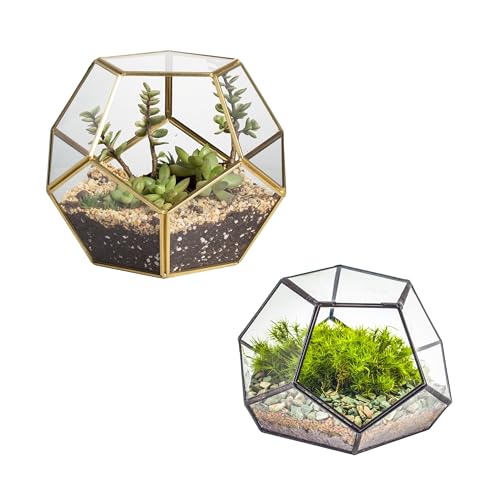 NCYP Glass Terrarium - Gold Open Glass Terrarium, and Small Geometric Terrarium with Door, Ferns, Indoor Home Garden Office Tabletop Decor