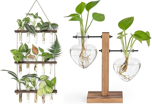 Mkono Plant Propagation Tubes and Desktop Glass Hydroponic Planter for Hydroponic Cutting Home Garden Office Decor