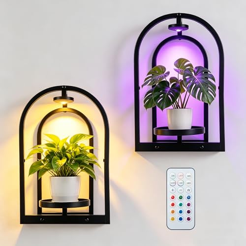 Hyindoor Wall Plant Holder with Grow Light & Remote Control, Wall planters for indoor plants, Wall Mounted Hanging Planter, Plant Wall Shelf Frame for Living Room, 2 Pack