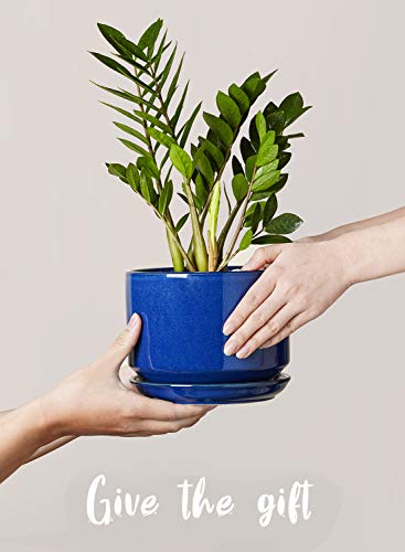 LE TAUCI Ceramic Plant Pots, 4.3+5.3+6.8 inch, Set of 3, Planters with Drainage Hole and Saucer, Indoor Flower Pot with Hole Mesh Pad, Gifts for Mom, Sapphire Blue - color: Sapphire Blue