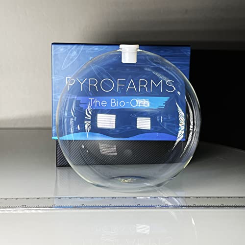 Glass Sphere Vase – 10cm Flat-Bottom Orb for Plants, Terrariums & Home Decor