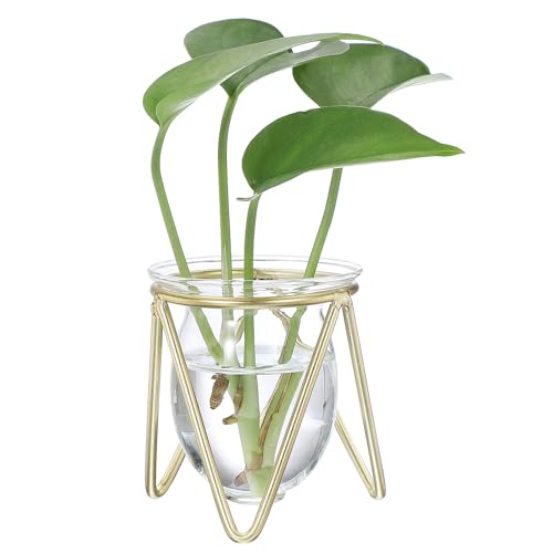 PATIKIL Glass Plant Terrarium with Metal Stand, Desktop Air Plant Bulb Vase for Propagation Hydroponics Home Garden Office Decoration, Transparent/Gold