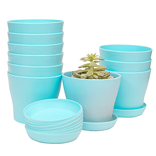 TDHDIKE 10 Pcs Plastic Planters Indoor Flower Plant Pots (Blue) | Mini Seedlings Nursery Pot with Pallet, Modern Decorative Gardening Containers - color: Blue