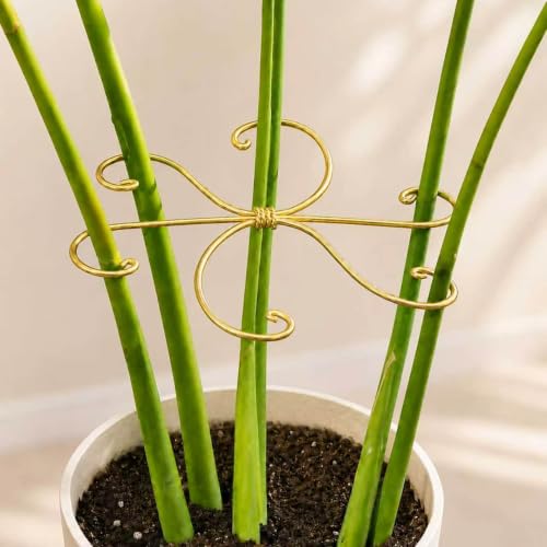 Yohsnor 5PCS 7.5in Monstera Plant Stem Support-Great for Climbing Plants - color: Gold, size: 7.5IN*7.5IN