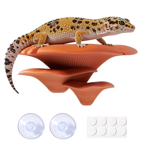 Mushroom Reptile Tank Decor, Tree Frog Climbing Ledge for Terrarium - color: Brown