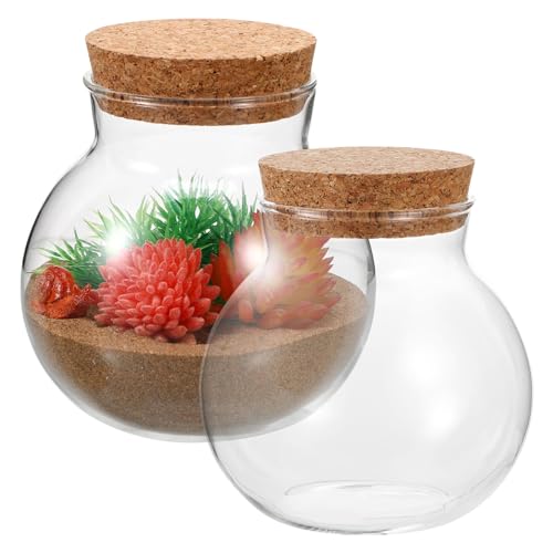 Healeved 2pcs Round Glass Jar Terrarium Container Ball Succulent Plant Terrarium Buds Vases Easter Candy Jar Message Wishes Bottle with Cork Lid for Plant 10x11cm