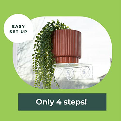 Window Garden Veg Ledge Suction Cup Window Shelf – Create an Indoor Garden, Hold Your Planter Pots, Seed Starter, Figurines on Your Window. Grow Herbs, Microgreens, Succulents, Sleek (3 Pack) - size: 3 Medium (Original)