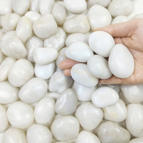 FANTIAN 2 lbs Polished White Pebbles for Pebbles, 1-2 Inch Smooth White River Rocks for Plants Potted Vases Fillers Fish Tank Landscaping and Outdoor Garden Decorative Rocks - size: 1-2 Inch, style: 2 Pounds