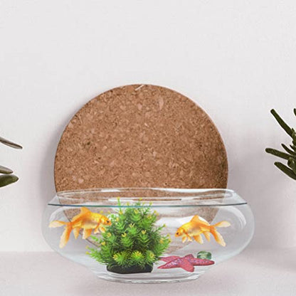 10 Inch Glass Bowl for Plants - Lotus Planter & Clear Terrarium, Large Round Vase for Table Centerpiece, Shallow Bowl for Goldfish & Betta, Decorative Glass Hydroponic Plant Pot 25cm - size: 25x25cm