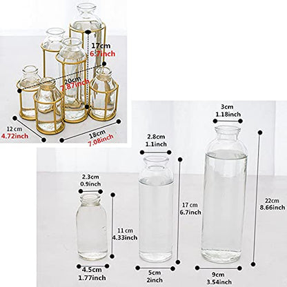 Flower Vases with 6 Bottle Crystal Clear Glass Flower Vase with Metal Stand Propagation Station Plant Display Holder Set for Home or Wedding Décor