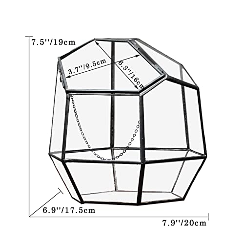 NCYP Handmade 7.5inches Small Close Geometric Terrarium with Door, Black Irregular Glass Planter, Modern Succulent Cacti Flower Pot, Home Garden Decor DIY Gift (Plants and Props NOT Included) - size: 8x7x7.5inches