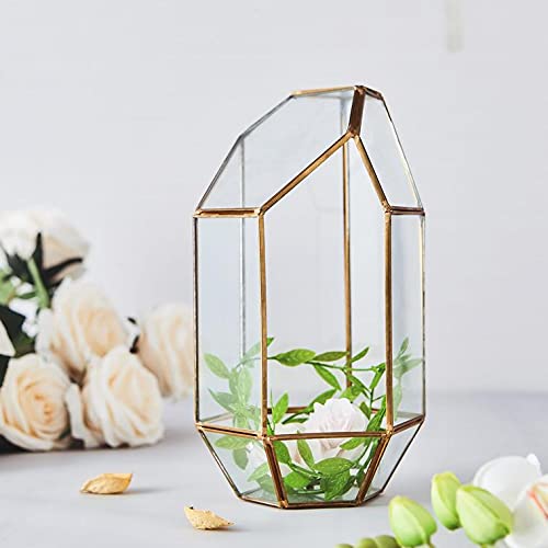 Gold Geometric Hanging Glass Terrarium for Succulent & Air Plant Tabletop Centerpiece Home Office Decor Gift Idea - 10" Heptagon Prism - color: Gold Heptagon Prism