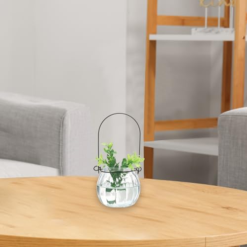 PATIKIL Pumpkin Glass Terrarium Planter 2.3 Inch, 6 Pack Air Plant Wall Hanging Pot DIY Interest Plant for Home Decor Garden Office, Clear