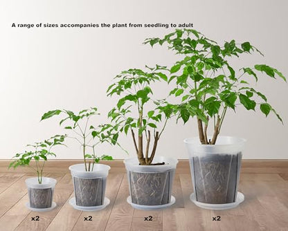 Clear Plant Nursery pots with Saucers,5/6/7/8 inch 8 Pack | for Indoor & Outdoor Plants,monstera pot with drainage holes, monitor soil moisture and root health, semi-clear PP material - size: 5/6/7/8 inch with trays