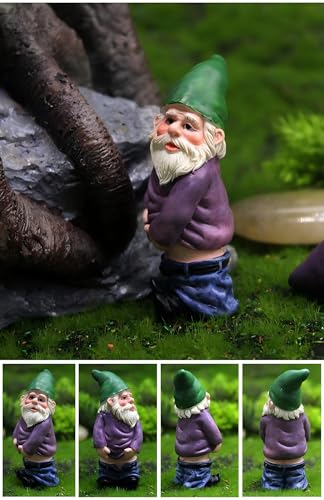 Miniature Garden Gnome Set with Campfire, 4 Piece Funny Gnome Figurines, Decorative Outdoor and Indoor Plant Pot Ornaments - style: Funny Gnomes