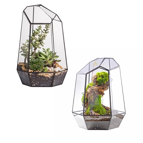 NCYP Glass Terrarium - Open Geometric Glass Terrarium, and Closed Geometric Plant Terrarium with Door, for Small Succulent Cacti, Ferns, Indoor Garden Decor (No Plants)