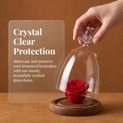 BESPORTBLE Angel Glass Cover Angel Preserved Flowers Flowers Wedding Decoration Glass Dome with Base Tabletop Display Case Cloche with Base Vase Wooden Dried s Snack