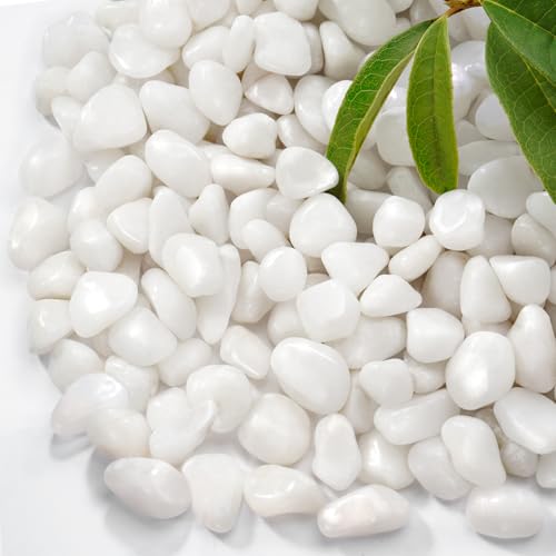 2.2lb Natural Polished White Pebbles, 1/2 Inch Decorative Rocks | Pebbles for Indoor Plants, Vases, Succulent, Planters, Landscaping Drainage and Outdoor Gardening - color: White, size: 1/2 Inch 2.2 Lb