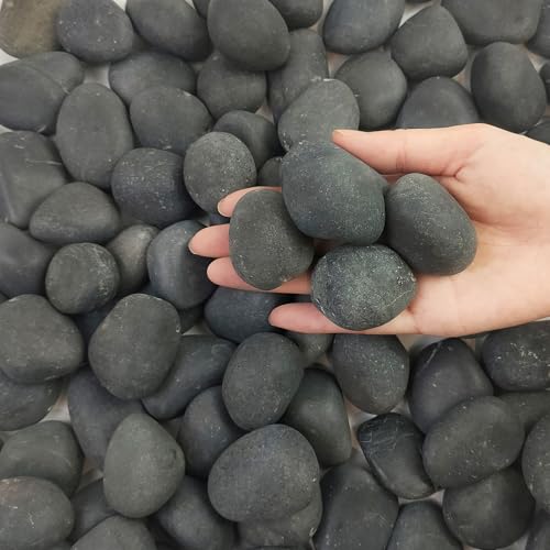 FANTIAN 5 lbs Black Pebbles for Indoor Plants, 1-2 Inch River Rocks | Natural Decorative Rocks Black Stones for Planters, Painting, Aquarium, Outdoor Garden Landscaping, Walkways, Yard - color: Black, size: 5 lbs, 1-2 Inch