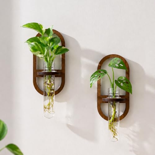 Artilady Plant Propagation Station Wall Hanging, Planter Terrariums Tube | Boho Wood Air Plant Holder for Indoor Plants, Window Propagation Stations Vases for Living Room Bedroom Wall Decor, 2 Pack - color: Oval