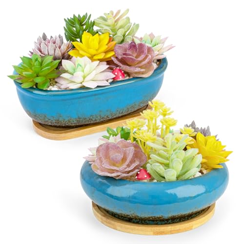 Succulent Pots, 1 Rectangle Planter + 1 Ceramic Bonsai Pots with Drain Tray | 2 Pack Large Shallow Planters for Indoor Plants, Round Cactus Flower Plant Pot for Desk Windowsill Decor - color: Blue