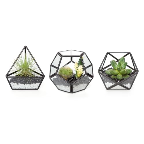 Mkono 3 Pack Geometric Glass Terrarium, 4" Black Air Plant Holder Tabletop - color: Black