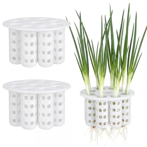 2 Pack Green Onion Planter Scallion Grower Sprouting Kit, White - color: White