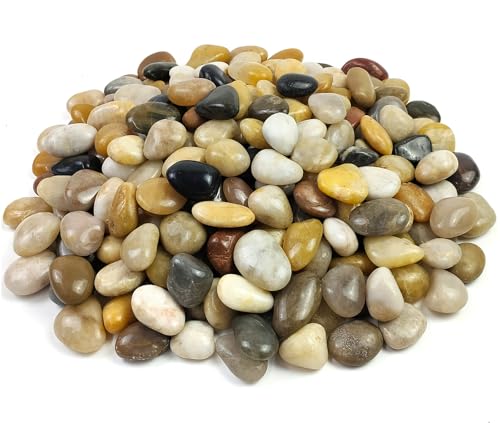Pebbles for Indoor Plants, Natural Polished River Rocks, Small Decorative Mixed Color Stones for Planters Vase Fish Tank Aquariums Landscaping Garden, 5lbs - color: Mixed Color, size: 5 Pounds