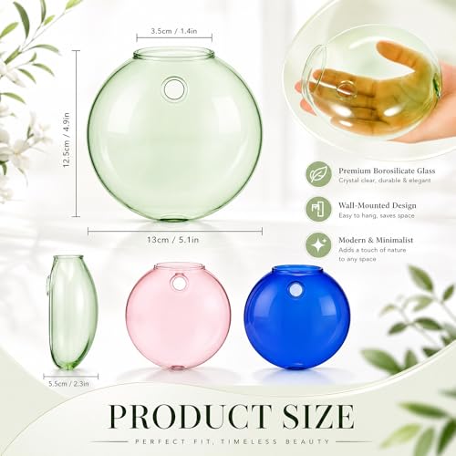 LemonRoad 3 Pcs Propagation Wall Hanging Glass Flower Vase Pink Green Blue Oblate Wall Vases for Flowers Hydroponics Plant Propagation Station Terrariums Glass Planter Gifts for Plant Lovers