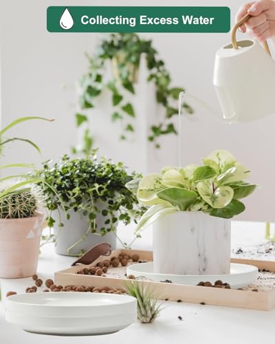 vensovo 9 Inch Ceramic Plant Saucer Pots Tray - 1 Pcs Modern White Planter Saucers for Indoor & Outdoor Plants, Large Pot Trays Perfect for 8 Inch 8.5 Inch 9 Inch Flowerpot