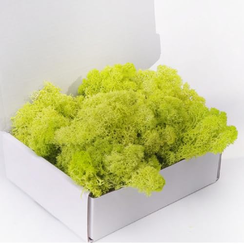 Preserved Moss 3.5 OZ Moss for Crafts Faux Moss Decor Natural Moss for Art Wall Florist Decor(Yellow Green 3.5 OZ) - color: YELLOW GREEN, size: 3.5OZ