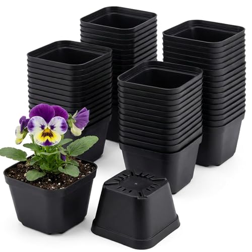 50 Packs Square Nursery Pots for Plants 4 Inch Seedling Pots | Plastic seed starter pots for seedlings and succulents; square planter nursery pots in assorted sizes work as flower pots. - size: 4 Inch