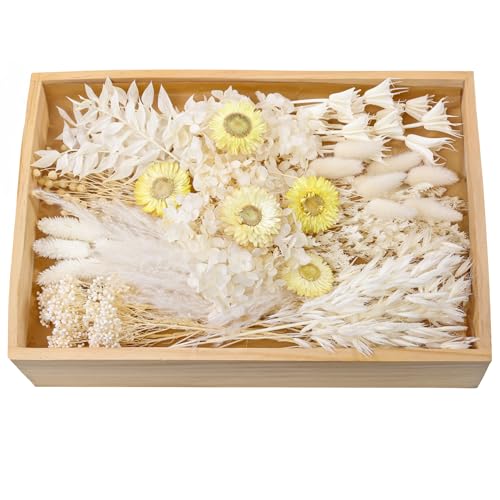 xin's convey Natural Dried Flower Set, Bulk Dried Flowers with Stems, Dried Daisies, Dried Rabbit's Tail Grass,Mini Bouquet.(White) - color: White