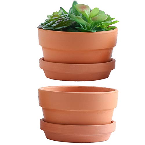 Yishang 7 Inch Terracotta Shallow Planters with Saucer/Tray,Ceramic Flower Clay Plant Pots with Drainage Hole,Unglazed Cactus/succlent Plant Containers Indoor Garden Bonsai Pots - size: 7 Inches