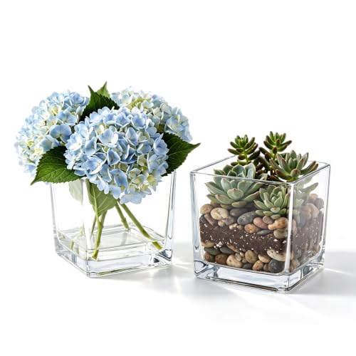 2 Pack 5-Inch Square Clear Glass Vases, Thick Cube Floating Candle Holders - size: 5"-2Pack